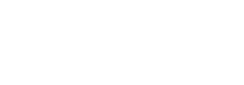 1inch Network