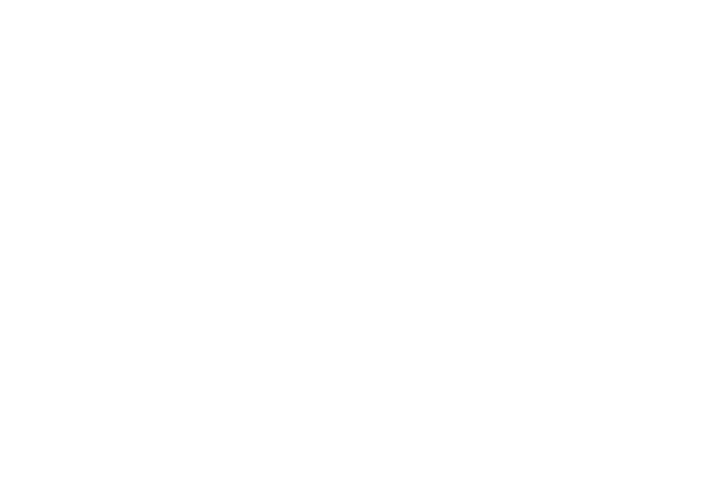 FC Zenit